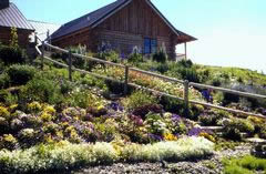 Stroll through the hillside flower garden.