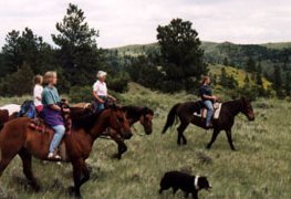 Enjoy horseback riding during your visit.